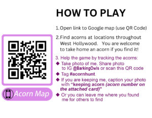 acorn qr code & how to play guideline